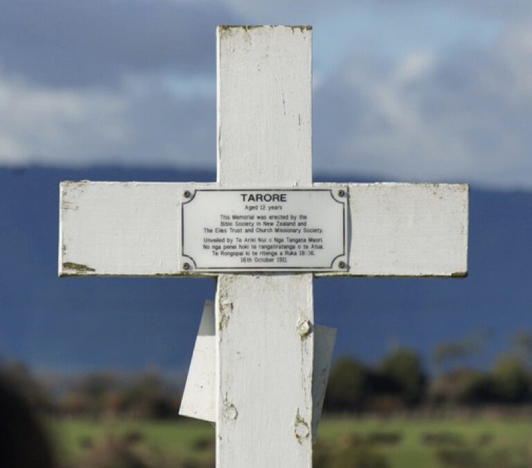 Pilgrim’s Guides #6 – Tētahi Hikoi Tapu